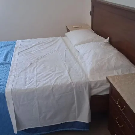 Zostera * メーリト・ディ・ポルト・サルヴォ