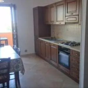 Zostera 멜리토디포르토살보