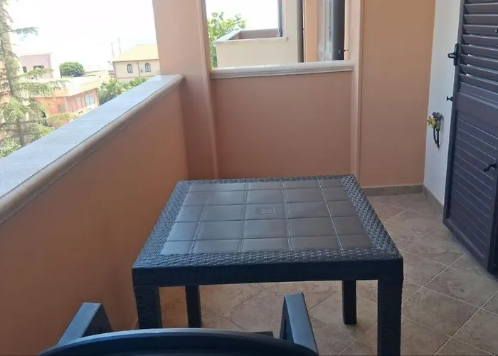 Zostera 美利托迪波尔图萨尔维