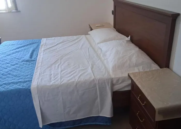 Zostera * 美利托迪波尔图萨尔维