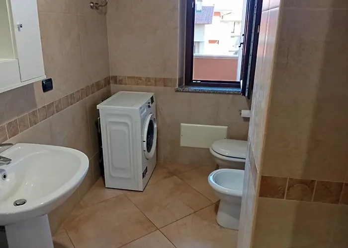 Zostera 美利托迪波尔图萨尔维